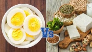 20 Vegetarian Protein Powerhouses That Outperform an Egg