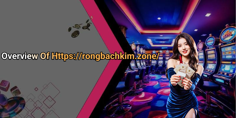 Overview Of Https://rongbachkim.zone/