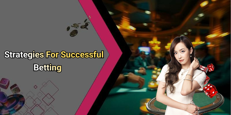 Strategies For Successful Betting